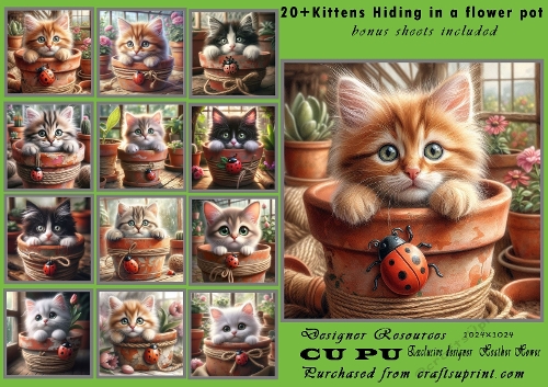 20+Kittens hiding in the potting shed