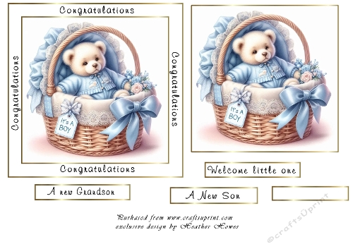 baby basket 1