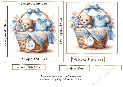 baby boy basket 2