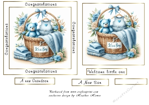 baby boy basket 3