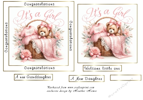baby girl basket 2