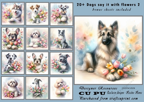 20+dogs say it with flowers 2