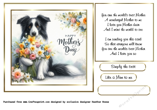 mothers day flowers Collie