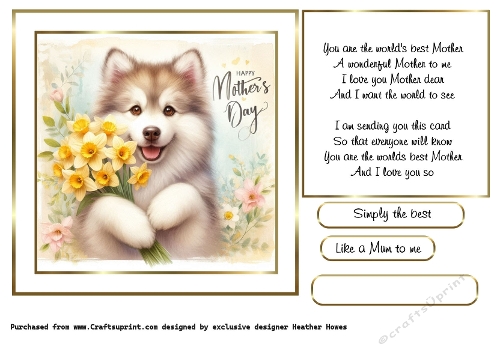 mothers day flowers husky