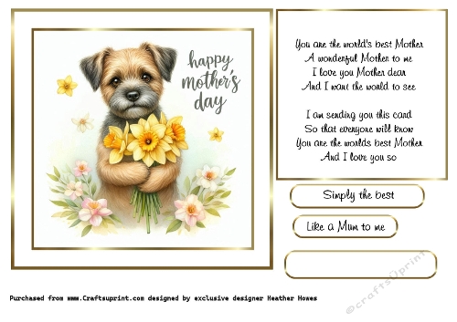 mothers day flowers border terrier