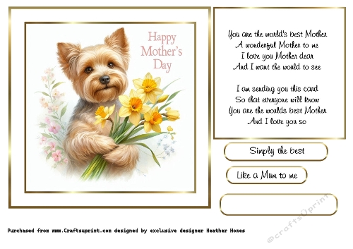 mothers day flowers norfolk terrier
