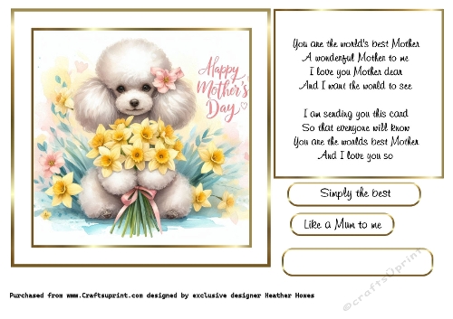 mothers day flowers poodle