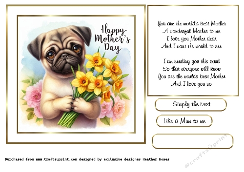 mothers day flowers pug