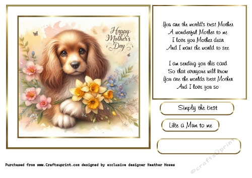 mothers day flowers spaniel