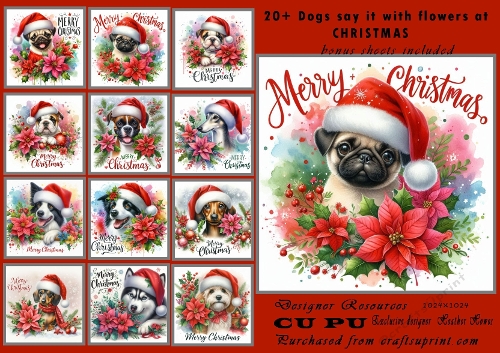 20+dogs say it with flowers at christmas