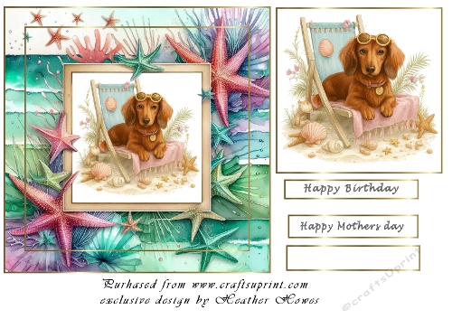 life is a beach 1 dachshund