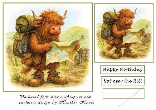 not over the hill highand coo