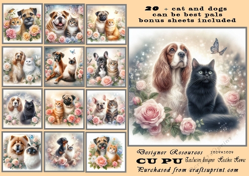 20+ best friends cats and dogs