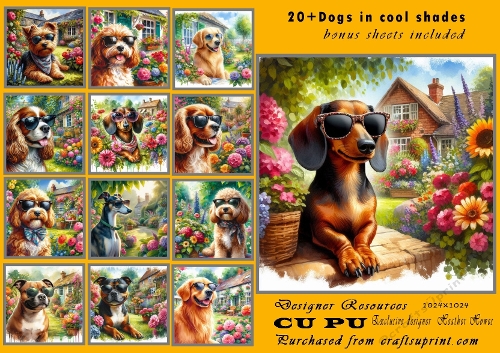 20+ dogs in shades