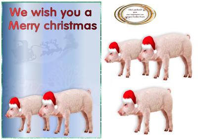 Piggy Christmas