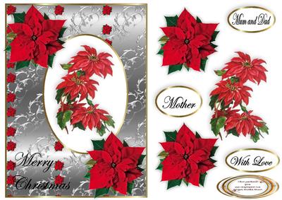 Poinsettias Galore