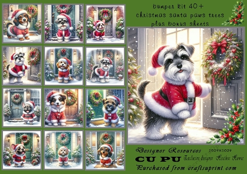 bumper christmas santa paws 