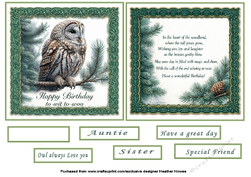 two to a page toppers birthday owl