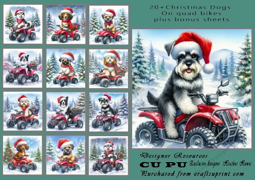 christmas dogs on quads
