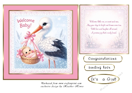 baby girl stork