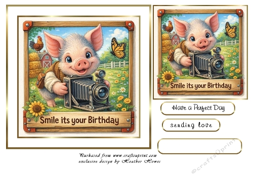 piggy says smile