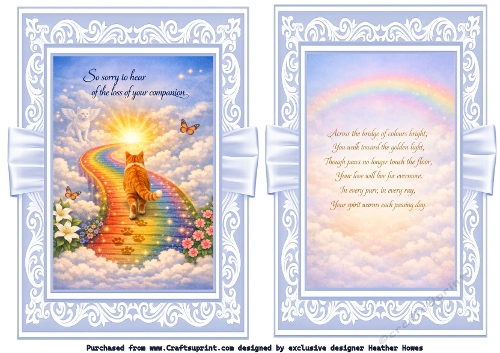 rainbow bridge cat 1