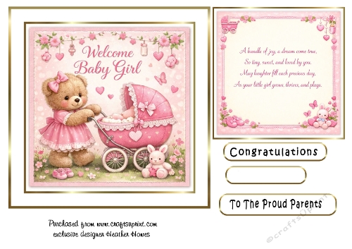 baby girl pram