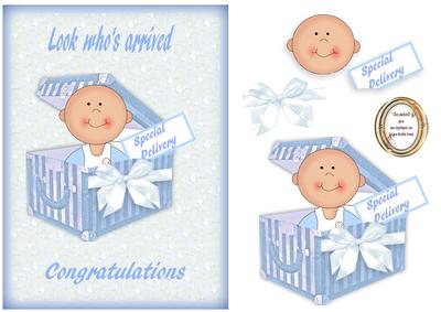Baby in a Box Special Delivery