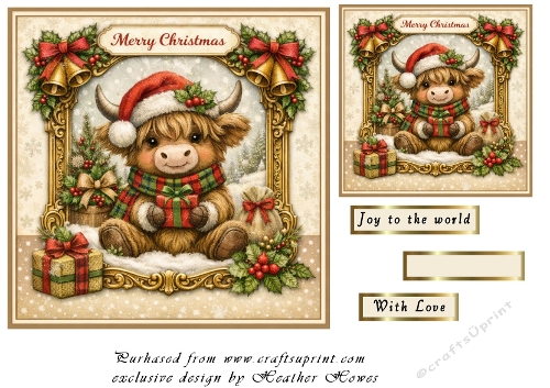 highland coo at christmas