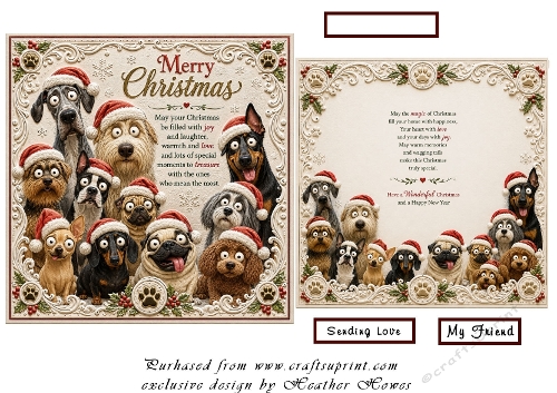 quirky dogs at christmas