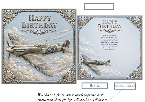 birthday ww2 plane