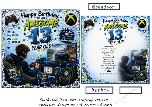 13 year old birthday gamer