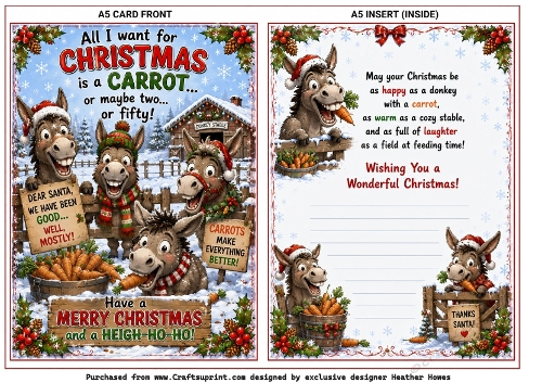 funny donkeys at christmas