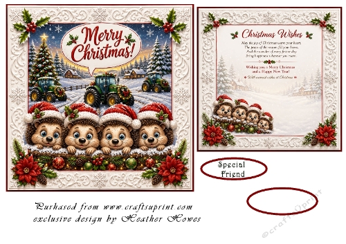hedgies at christmas