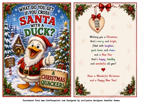 humourous santa duck