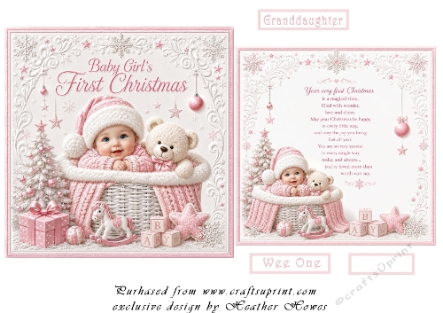 baby girls 1st christmas