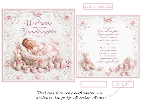 welcome to our new granddaughter