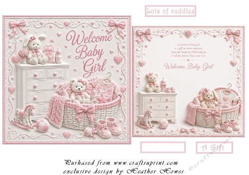 welcome baby girl