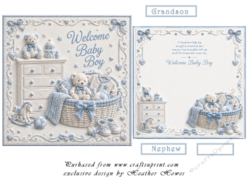 welcome baby boy