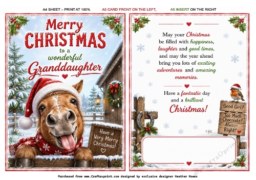 christmas donkey granddaughter