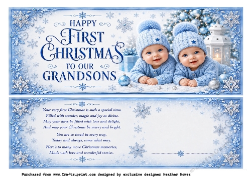large dl grandsons (twins) 1st christmas