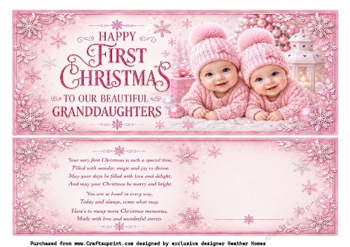 large dl granddaughters (twins) 1st christmas