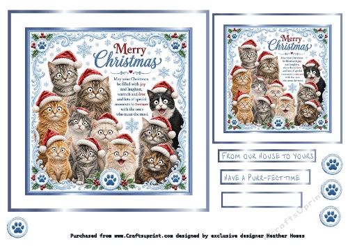 christmas cats