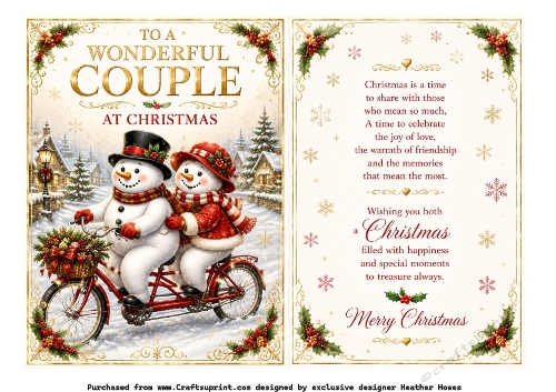 snowman wonderful couple