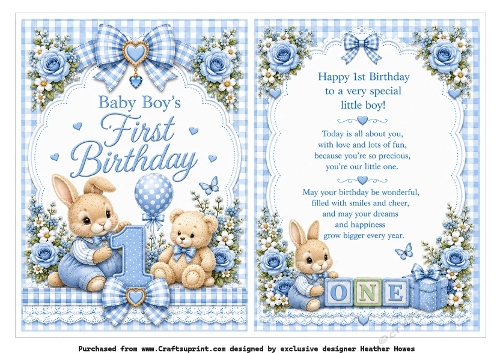 1st birthday boy