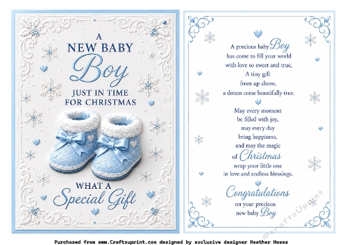 a new baby boy just in time for christmas