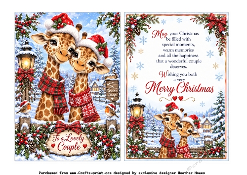 lovely couple giraffes