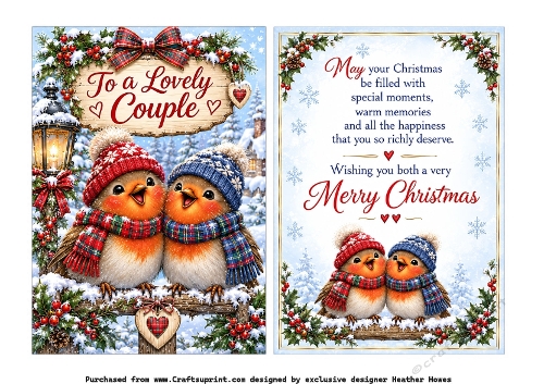 male couple robins