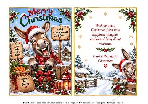 merry christmas brayilliant