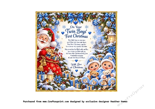 twin boys advent insert